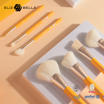 Pintura amigável de Kit Travel Makeup Brush Set 10PCS Eco das ferramentas da composição ISO9001