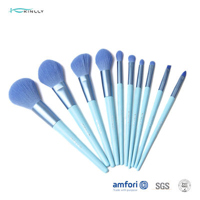Grupo de escova completo azul da composição do punho 10PCS BSCI
