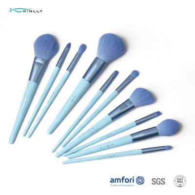 Grupo de escova completo azul da composição do punho 10PCS BSCI