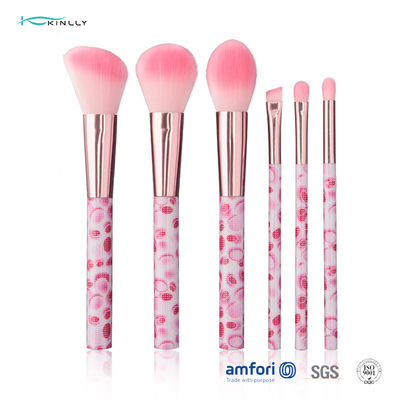 Grupo de escova cosmético 6pcs do curso plástico de nylon cor-de-rosa do cabelo com virola de alumínio