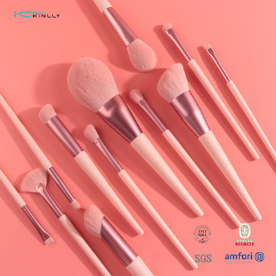 A mistura cosmética cor-de-rosa da sombra do grupo de escova da composição 12Pcs cora