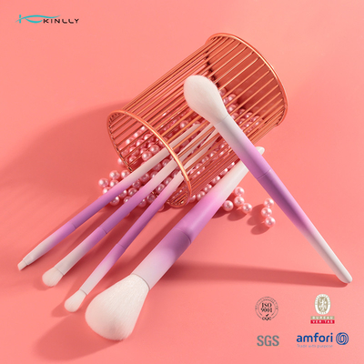 Grupo de escova cor-de-rosa da composição do ODM do OEM OBM do tamanho do curso com cabelo sintético