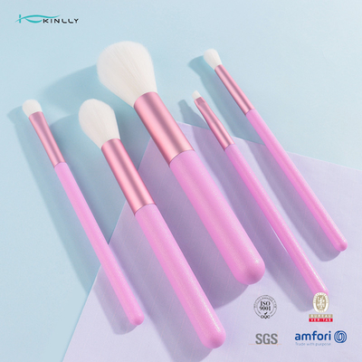 A composição de nylon do cabelo escova o grupo de escova cosmético do curso da coleção 5Pcs