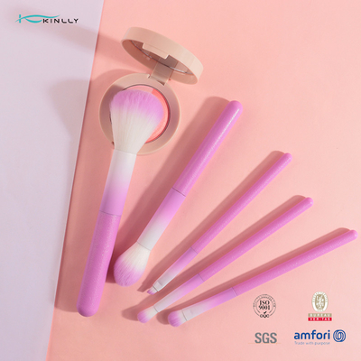 Grupo de escova cosmético colorido da composição 5pcs com o punho plástico cor-de-rosa