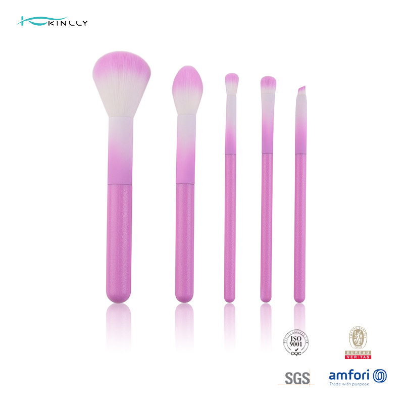 Grupo de escova cosmético colorido da composição 5pcs com o punho plástico cor-de-rosa